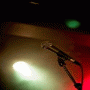 Live Music in Duszek
