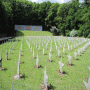 Soviet Cemetary