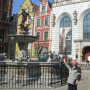 FiFi Travel