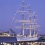 Polish Ships
