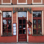 Lizard King