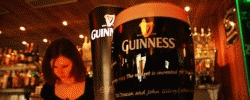 Irish Pub Nic Nowego