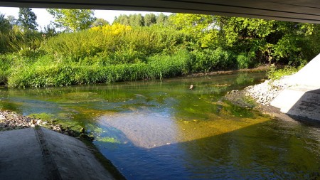 Rivers of Łódź