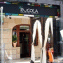 Rucola