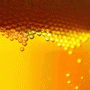 Beer Party