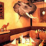 Der Elefant