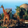 Zoo