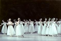 Culture and events in St. Petersburg