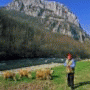 Sićevo Gorge