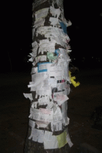 Directory in Niš