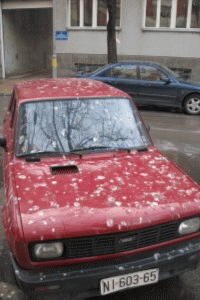 Zastava Yugo