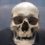 The Skull Tower