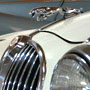 Museum of Automobiles