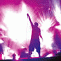 Exit Festival