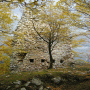 Kačji Grad