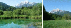 Zelenci
