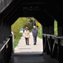 Black Bridge