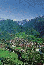Tolmin