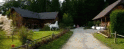 Kaja & Grom Ranch