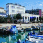 Koper