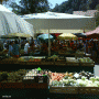 Central Market