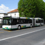 Public Transport