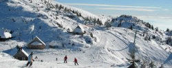 Velika Planina