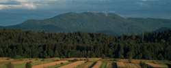 Cycling to Vrhnika