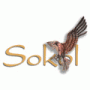 Sokol
