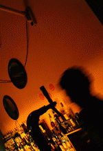 Maribor Nightlife