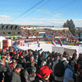 Culture & Events