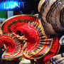 Lent Festival
