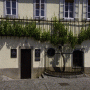 The Old Vine & The Old Vine House