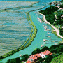 Villa Saline