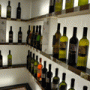 Vinoteka Vipava