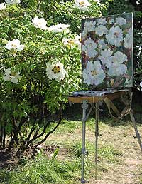 Parks & Gardens
