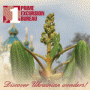 Prime Excursion Bureau