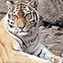 Zoo