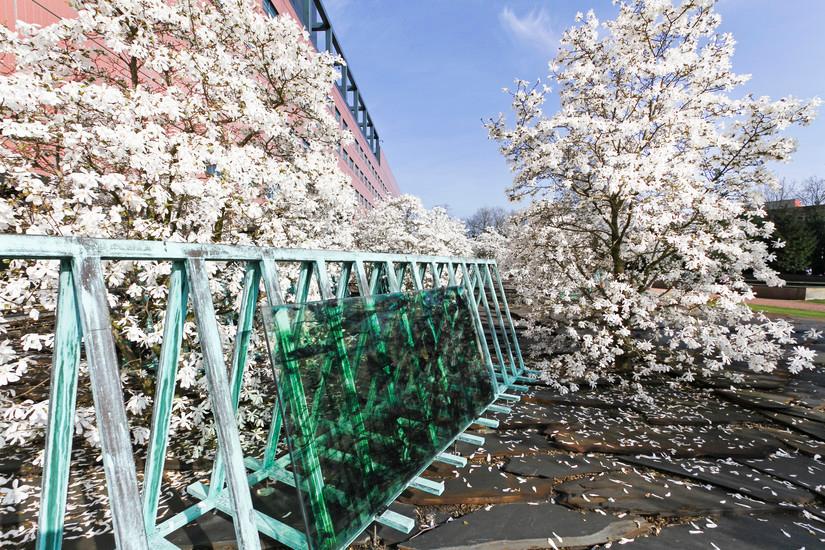 Mysterie van Tilburg