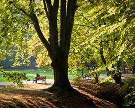 Park Sołacki