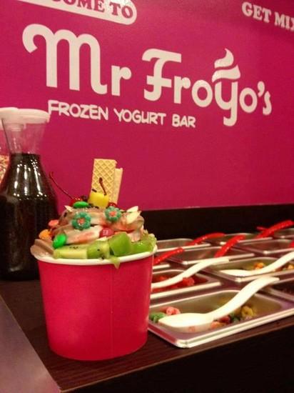 Mr Froyo's