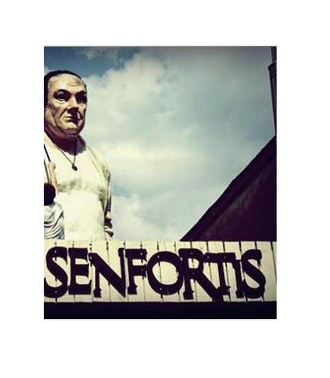 Senfortis