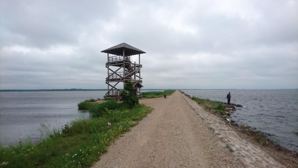Lake Liepāja Birdwatching Tower