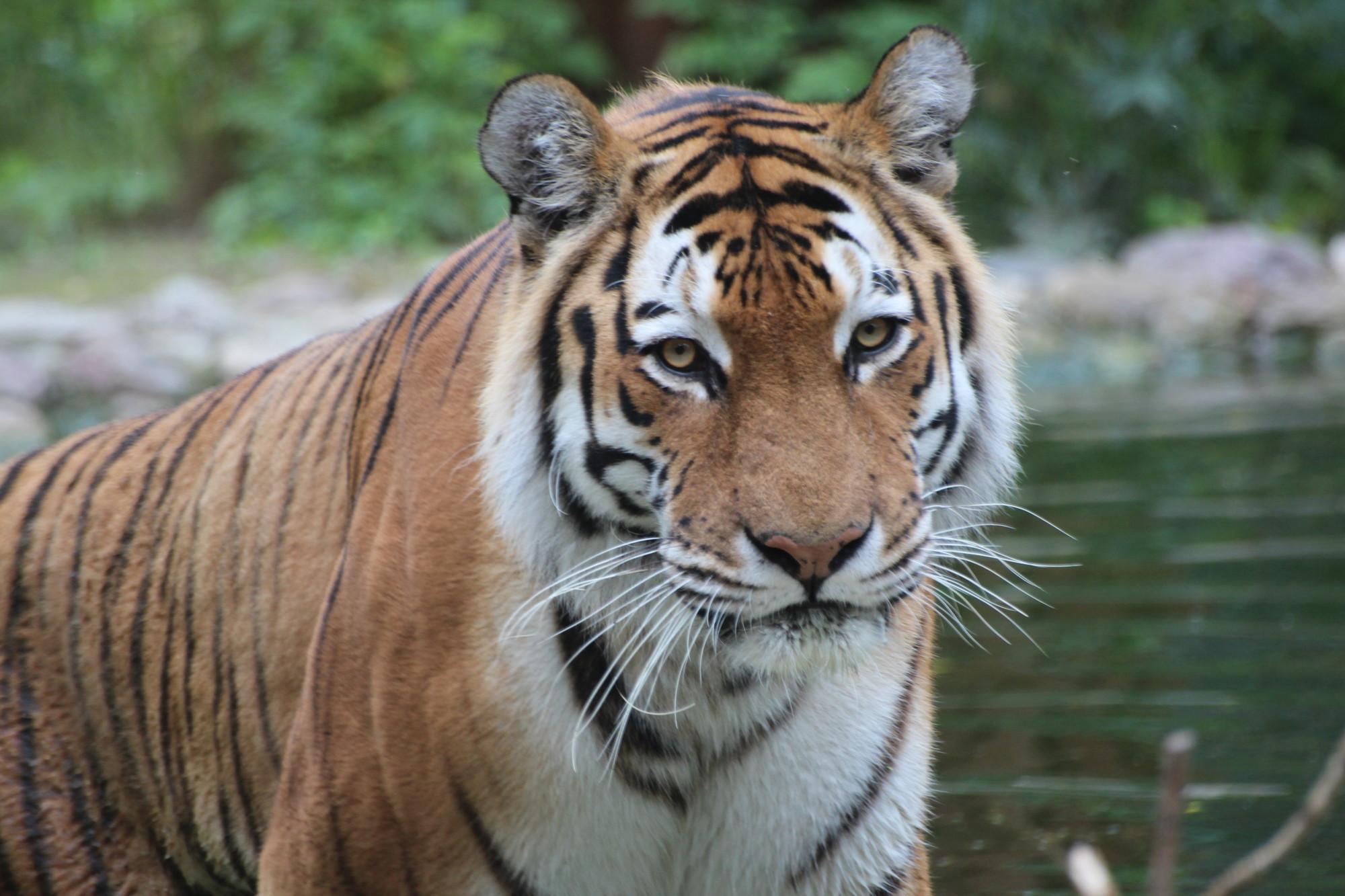 Bydgoszcz Zoo