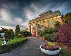 Wałbrzych Palm House