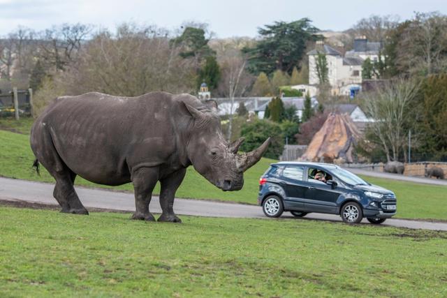 West Midland Safari Park