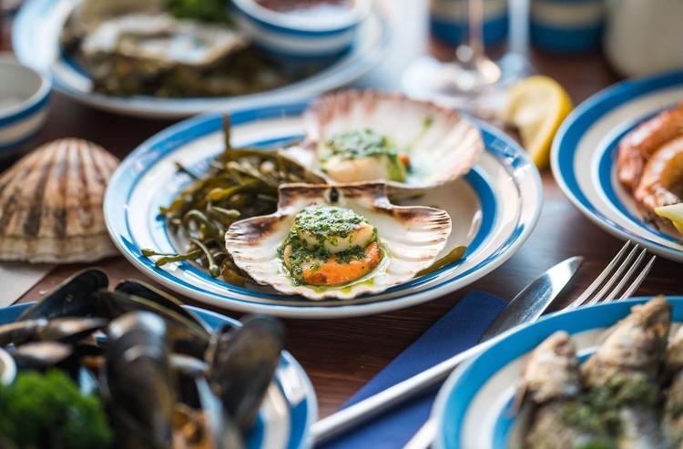 The Scallop Shell