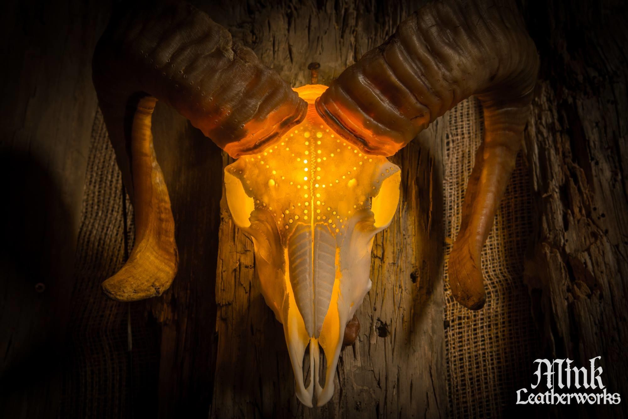 Mink Viking Portrait Studio