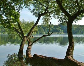 Poznań's Lake Rusałka