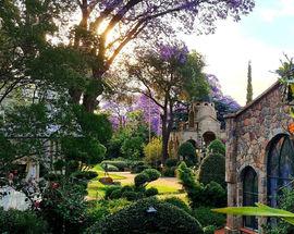 Shepstone Gardens